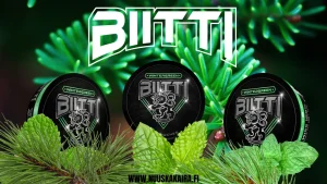 Biitti WIntergreen nikotiinipussit arvostelu